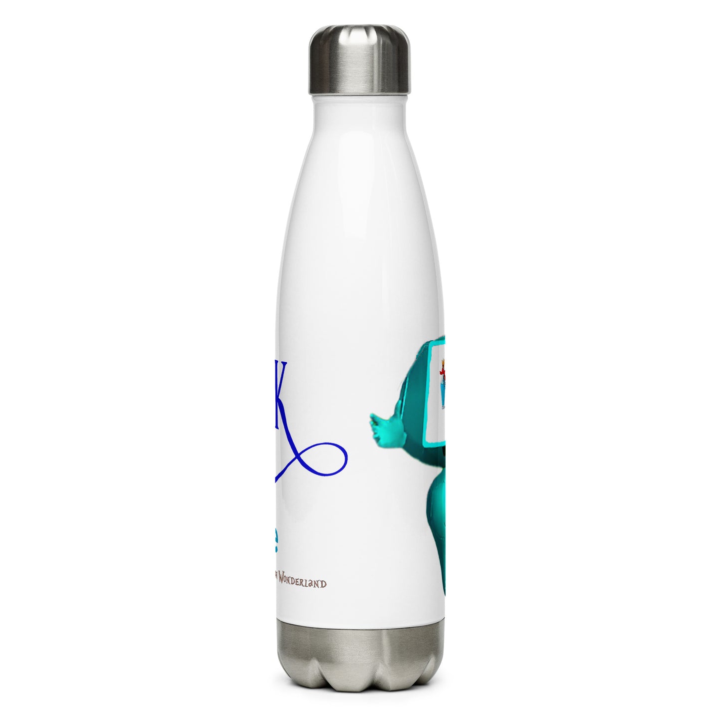 Stainless Steel Water Bottle