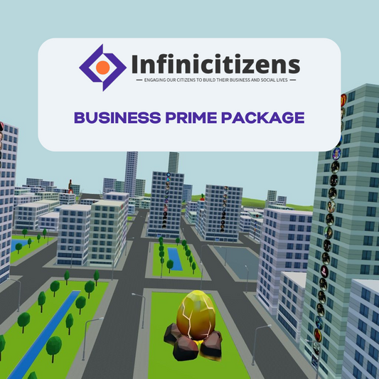 Infinicitizen Business Prime Package